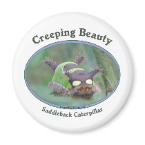 Creeping Beauty Magnets