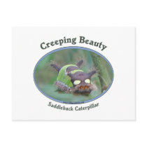 Creeping Beauty Post Card