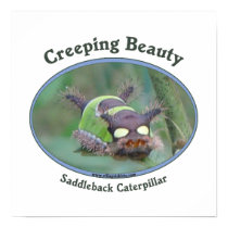 Creeping Beauty Print