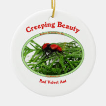 Creeping Beauty Red Velvet Ant Bug Ornaments