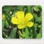 Creeping Oxalis Mouse Pads