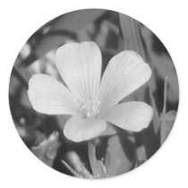 Creeping Oxalis stickers by princessklb07 Creeping Oxalis stickers