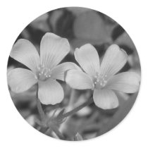 Creeping Oxalis stickers by princessklb07 Creeping Oxalis stickers