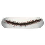 Creepy Centipede Skateboard