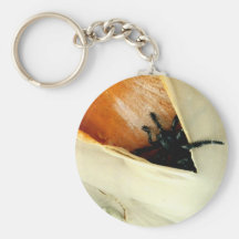 Creepy Crawler Keychain