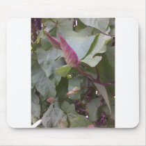 Creepy Crawlies Mouse Pad