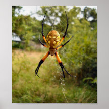 "Creepy Crawly" Poster