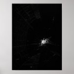 Creepy Crawly Print