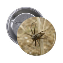Creepy Crawly Spider Button