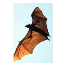 Creepy halloween flying fox (fruit bat) customized stationery