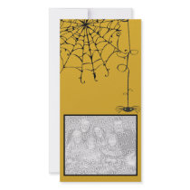 Creepy Spider photo cards