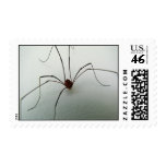 Creepy Spider Stamp