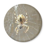 Creepy Spider Web Magnet