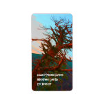 Creepy Tree Halloween Return Address Labels