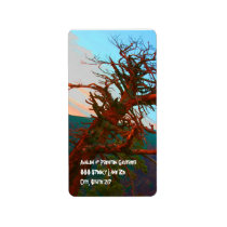 Creepy Tree Halloween Return Address Labels