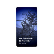 Creepy Tree Night Halloween Return Address Labels