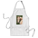 Cremello Walking Horse aprons