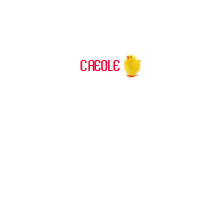 Chique crioulo camisetas