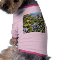Creosote Bush In The Desert pet clothing