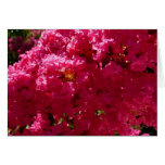 Crepe Myrtle Card