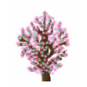 Crepe Myrtle Tree t-shirts