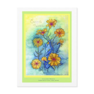 Crescendo Primrose Postcard postcard