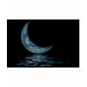Cresent Moon Lake Dots Blue t-shirts