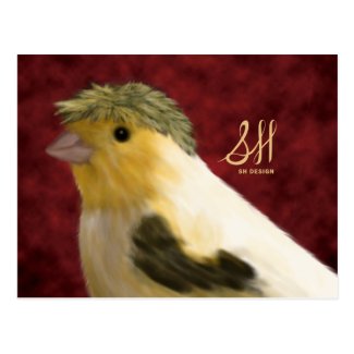 Crested Canary Postcard