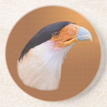 Crested Caracara  Coaster coasters