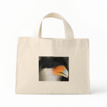 Crested caracara hawk head shot picture photo bags