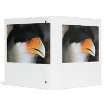 Crested caracara hawk head shot picture photo binder