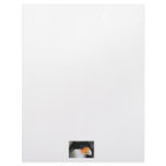 Crested caracara hawk head shot picture photo letterhead