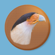 Crested Caracara  Magnet