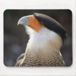 Crested CaraCara mousepads