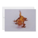 Crested Gecko Closeup Personalized Invitation