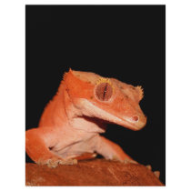 crested gecko custom flyer