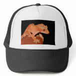crested gecko hats