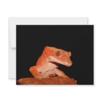 crested gecko custom invitations
