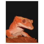 crested gecko letterhead