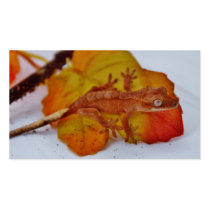 Crested Gecko on a Leaf Business Cards