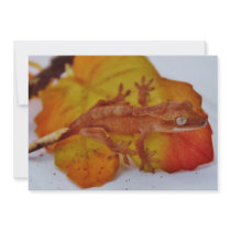 Crested Gecko on a Leaf Personalized Invitation