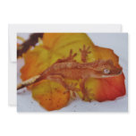 Crested Gecko on a Leaf Personalized Invitation