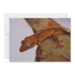 Crested Gecko on a Log Custom Announcement
