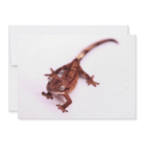 Crested Gecko Walking on an angle Custom Invitations