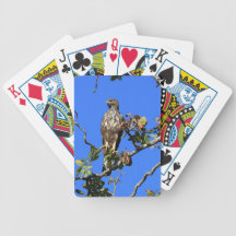 Crested Hawk Eagle in Sri Lanka Playing Cards