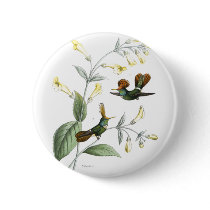 Crested Hummingbirds buttons