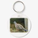 Crested Pigeon 9P013D-56 keychains