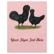 Crevecoeur Chickens Full Color Flyer
