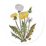 Crewel Embroidered Golden Dandy Lions Round Sticker