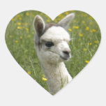 Cria In Buttercups Sticker